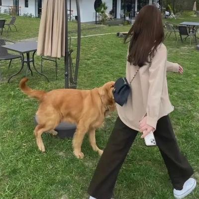 飞常大排档