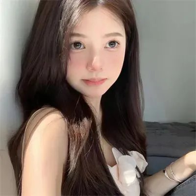 公司业务